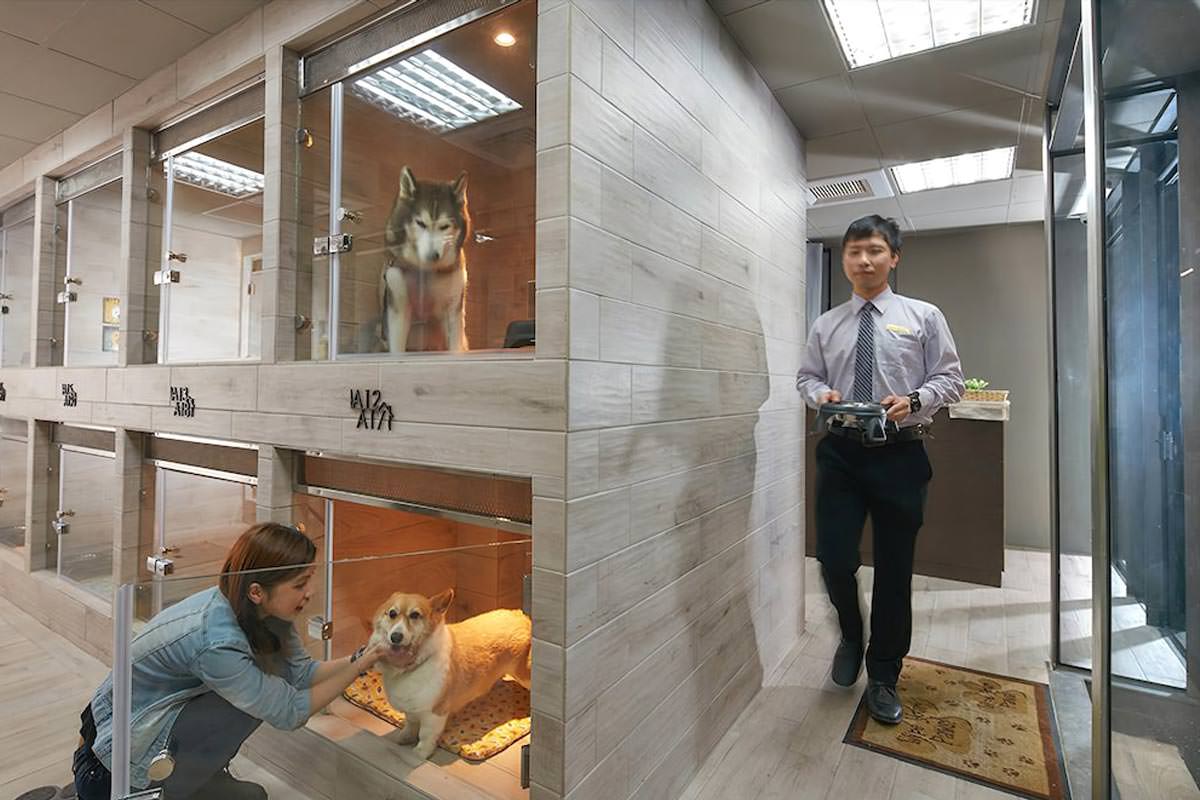 嘉楠風華酒店》嘉義市區飯店居然有高空酒吧／寵物友善／親子育樂城堡！