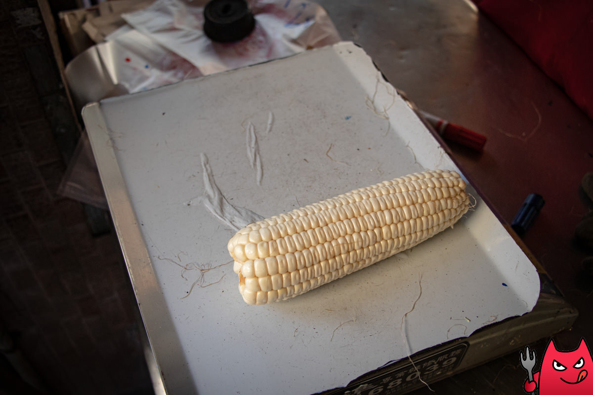 嘉義阿婆烤玉米》要等9小時的玉米，號稱嘉義必吃美食？真的有這麼好吃嗎？有必要排隊嗎？