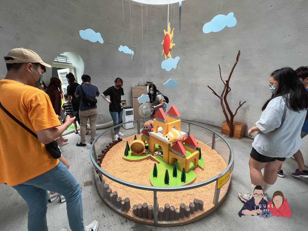 宜蘭親子景點》回巢｜親子小型遊樂園，狐蒙／羊咩咩／象龜，還有超可愛天竺鼠到處亂跑～