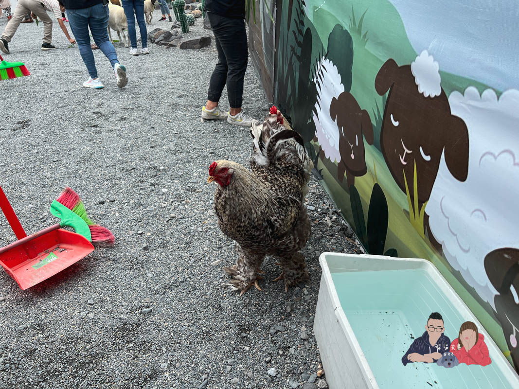 宜蘭親子景點》回巢｜親子小型遊樂園，狐蒙／羊咩咩／象龜，還有超可愛天竺鼠到處亂跑～