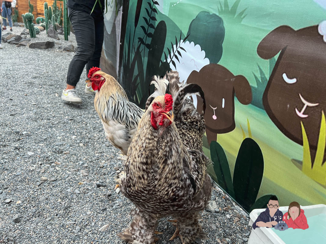 宜蘭親子景點》回巢｜親子小型遊樂園，狐蒙／羊咩咩／象龜，還有超可愛天竺鼠到處亂跑～