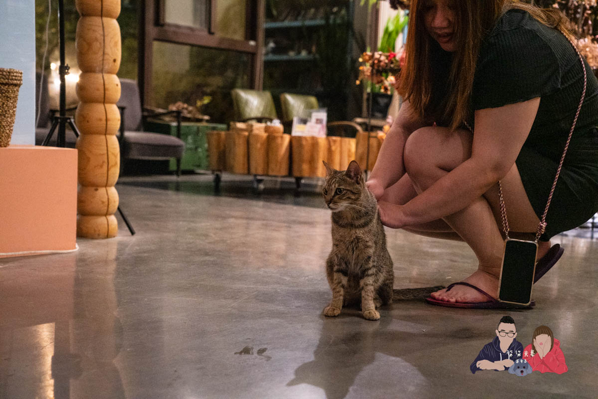 愛黏在一起設計師民宿》網美風格日月潭周邊住宿，到處都好拍～