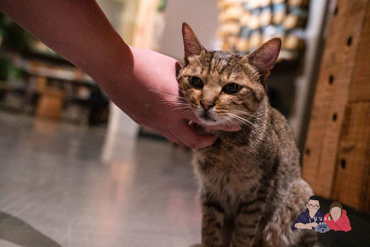 愛黏在一起設計師民宿》網美風格日月潭周邊住宿，到處都好拍～