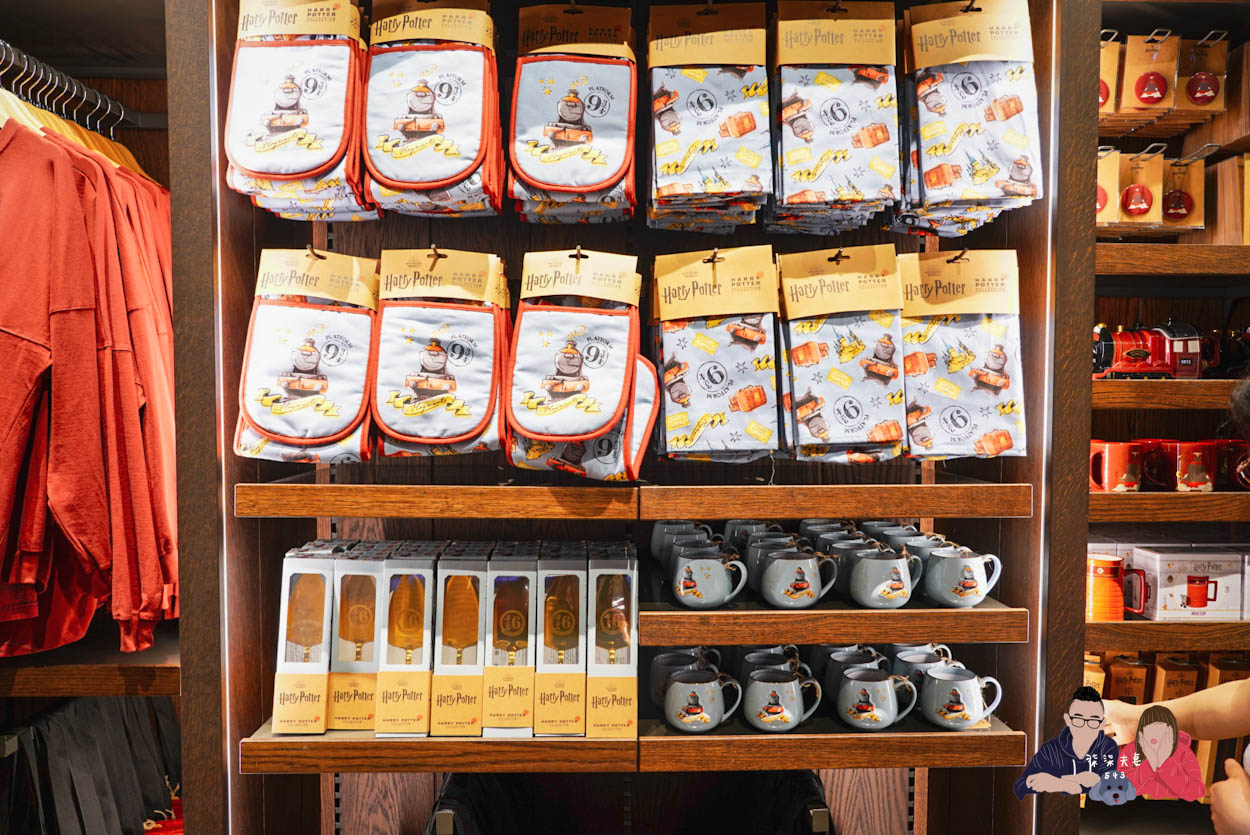 東京哈利波特九又四分之三月台鐵道商店 (21)