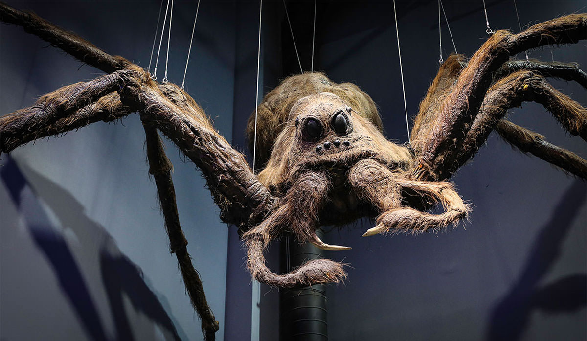 日本東京哈利波特影城》開幕時間/購票教學/交通攻略/刷卡刷不過怎麼辦? - 第12張圖 東京哈利波特影城官方照片-8