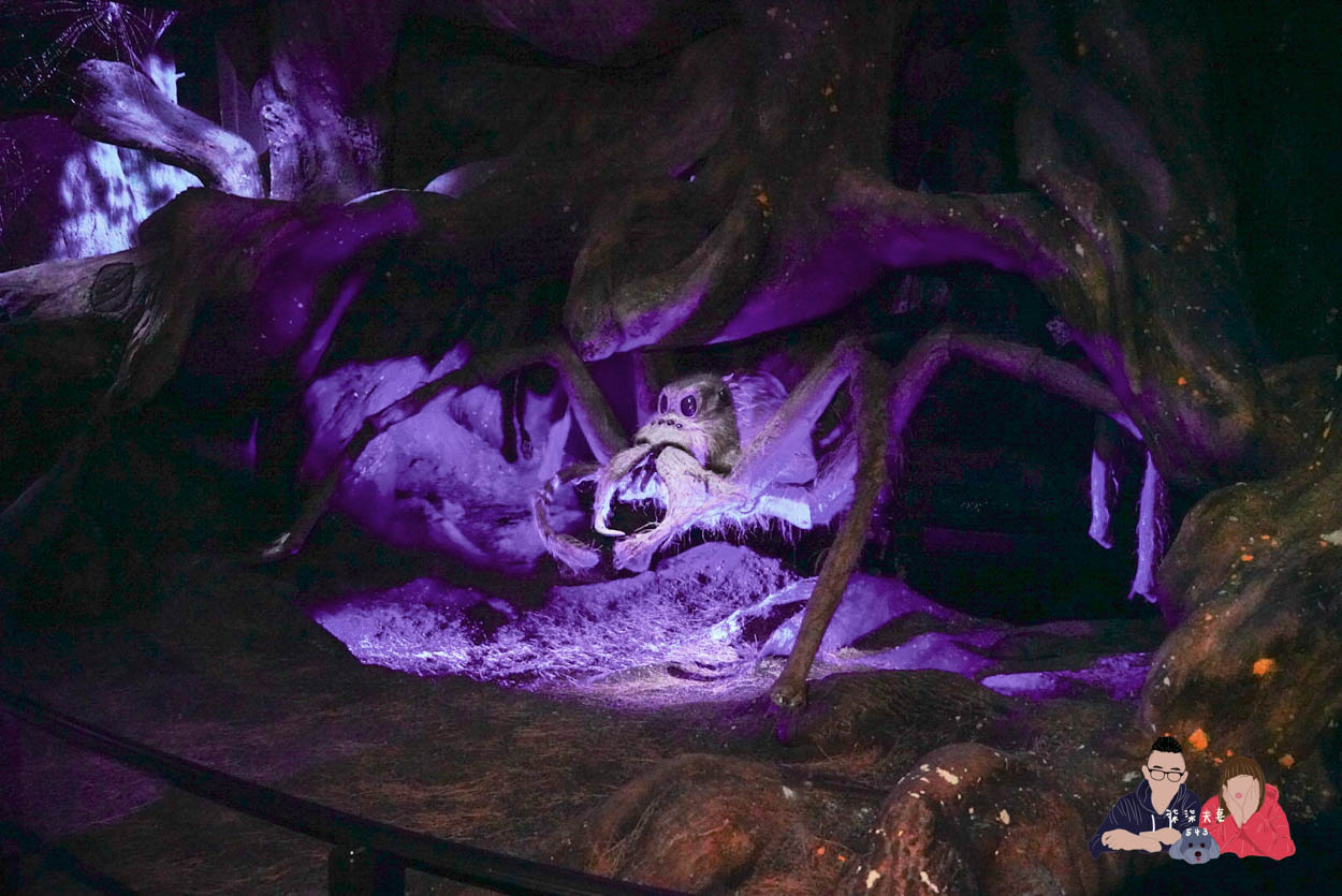 東京哈利波特影城-222