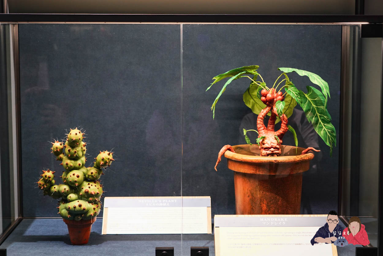 東京哈利波特影城-367