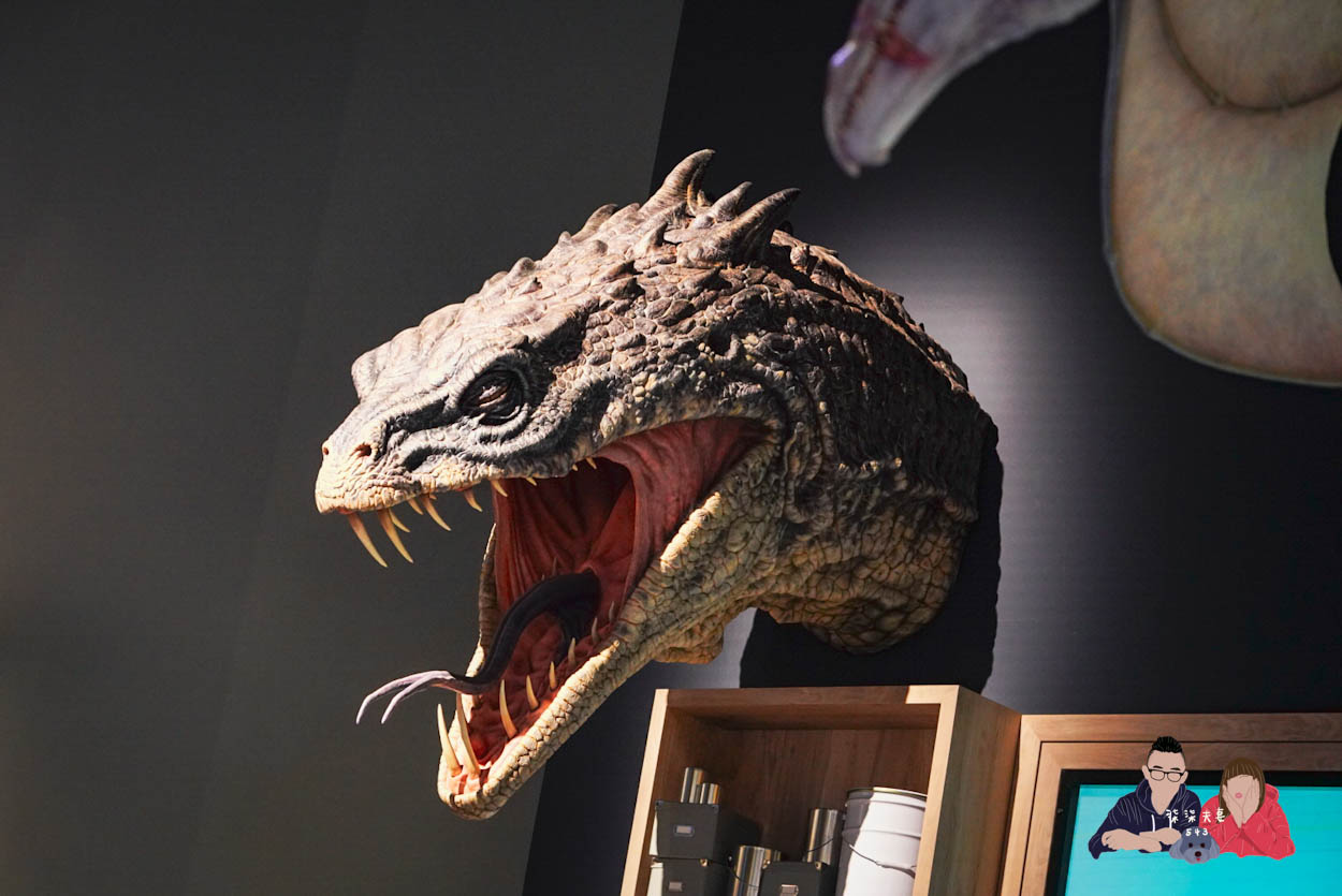 東京哈利波特影城-372