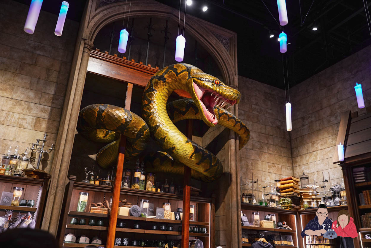 東京哈利波特影城攻略》9個行前重點&18個必拍,門票/交通/場景/體驗/商品一篇搞懂! - 第33張圖 東京哈利波特影城-469