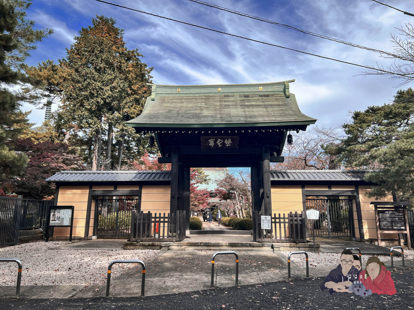 東京豪德寺 (15)