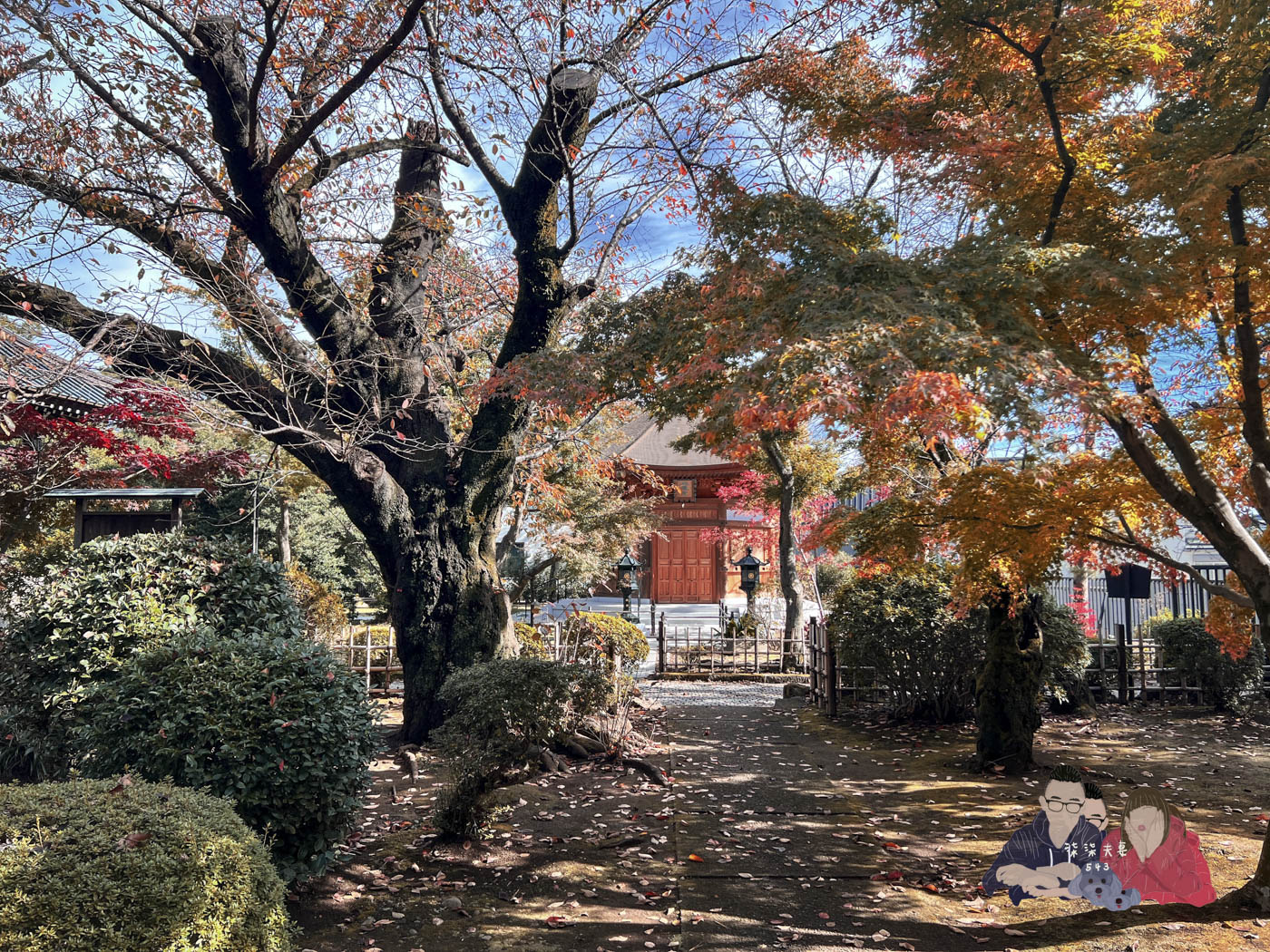 東京豪德寺 (20)