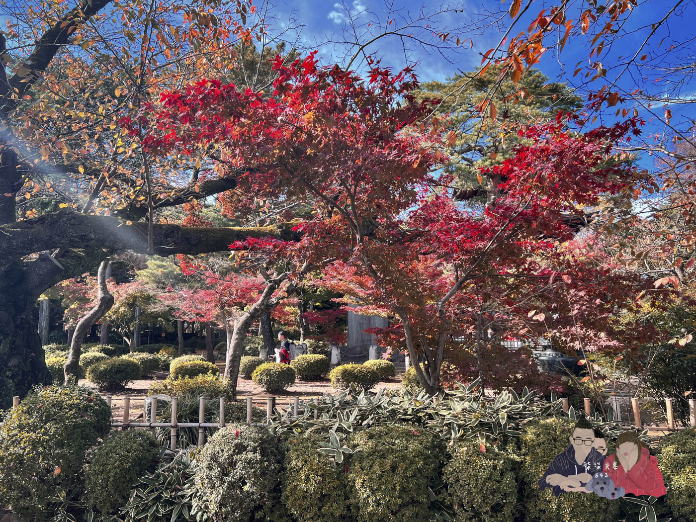 東京豪德寺 (27)