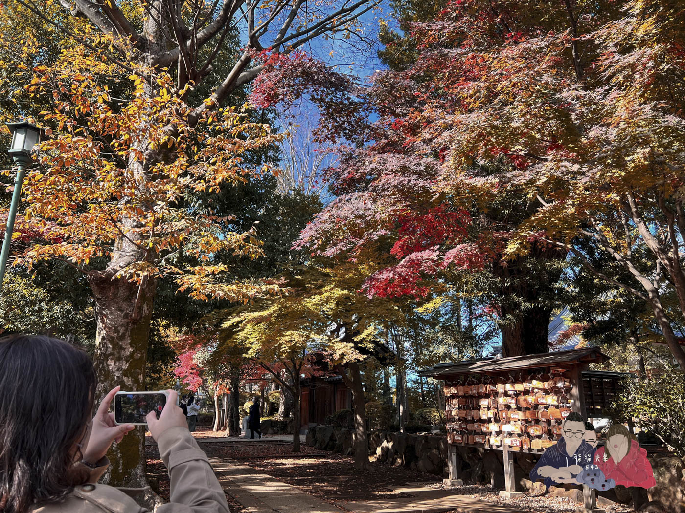 東京豪德寺 (38)