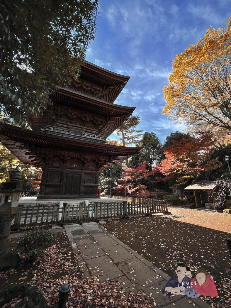 東京豪德寺 (42)