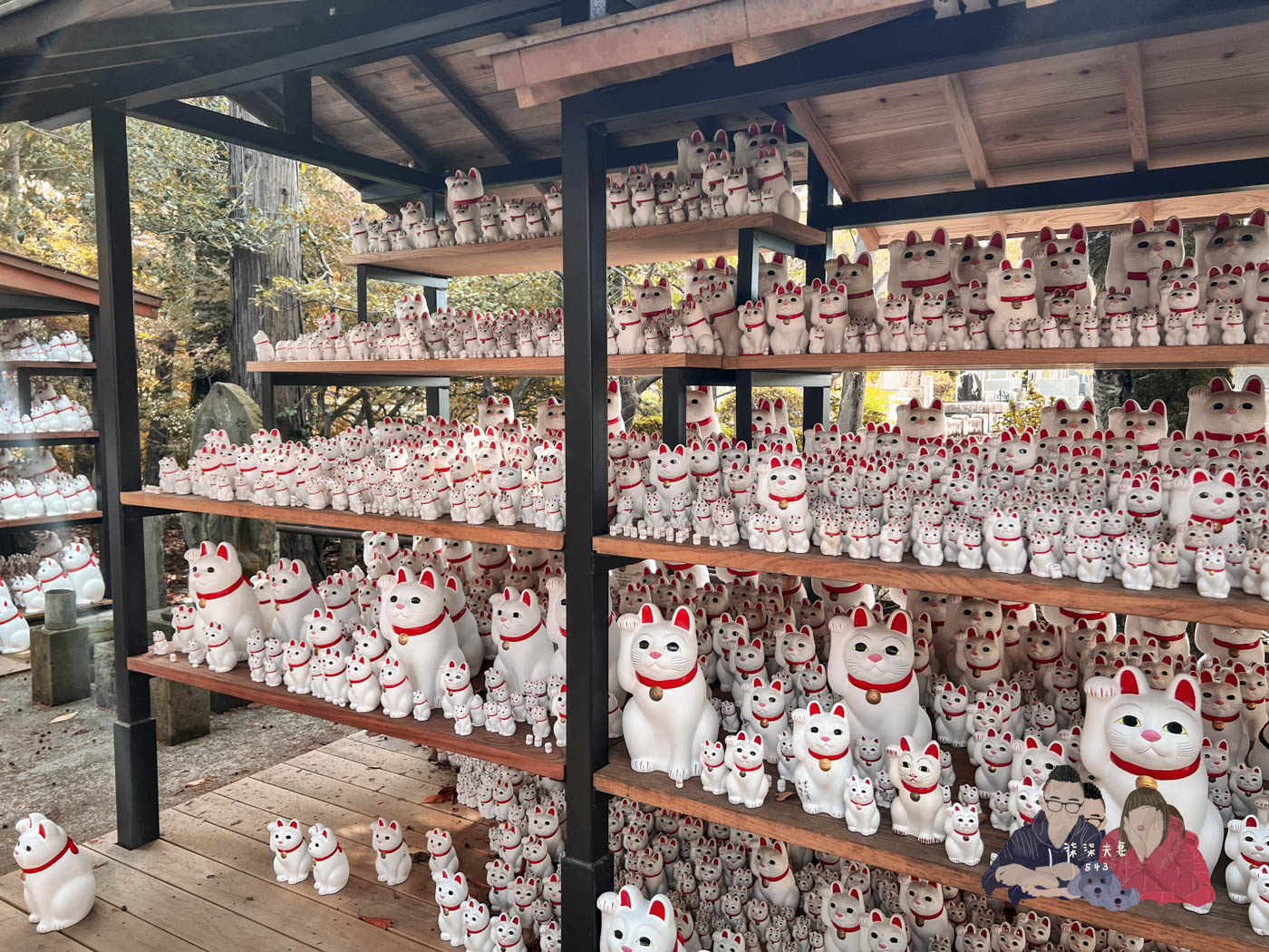 東京豪德寺 (57)