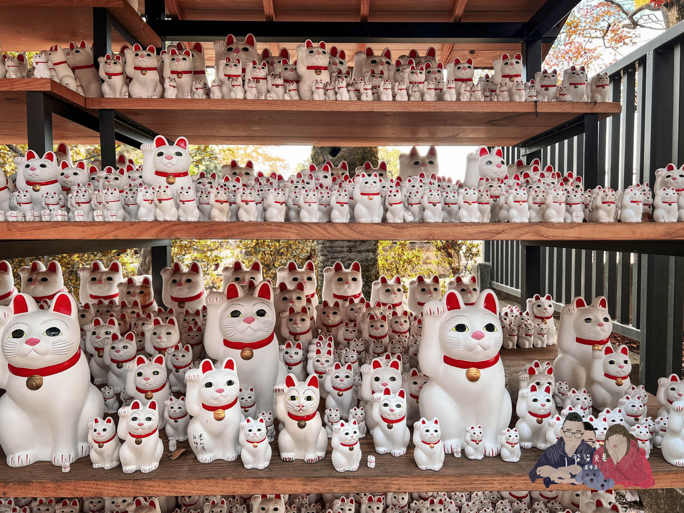 東京豪德寺 (58)