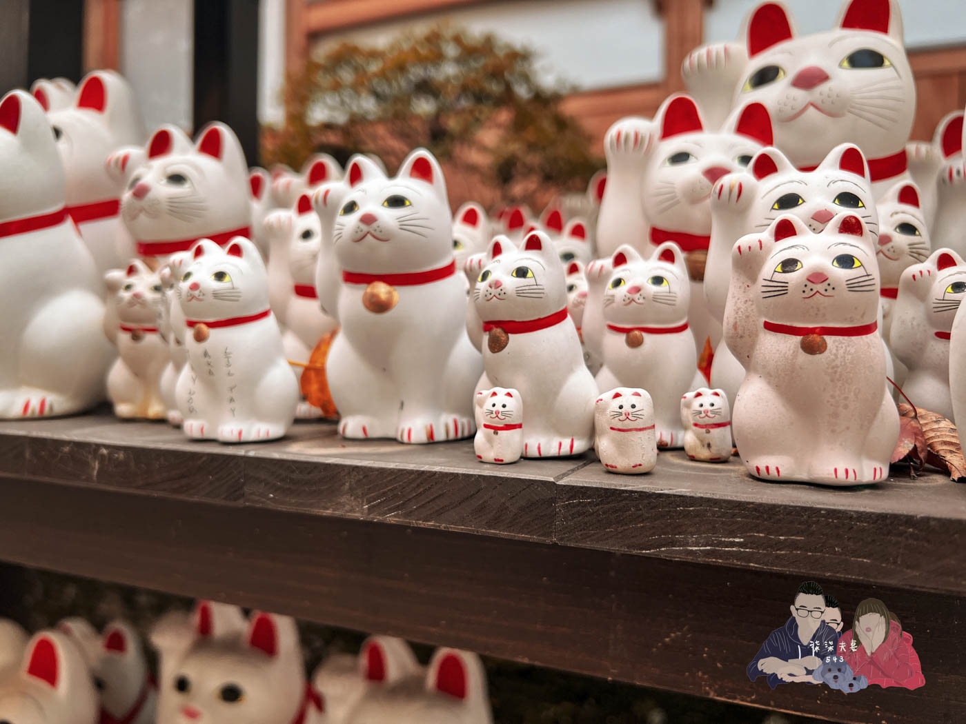 東京豪德寺 (74)