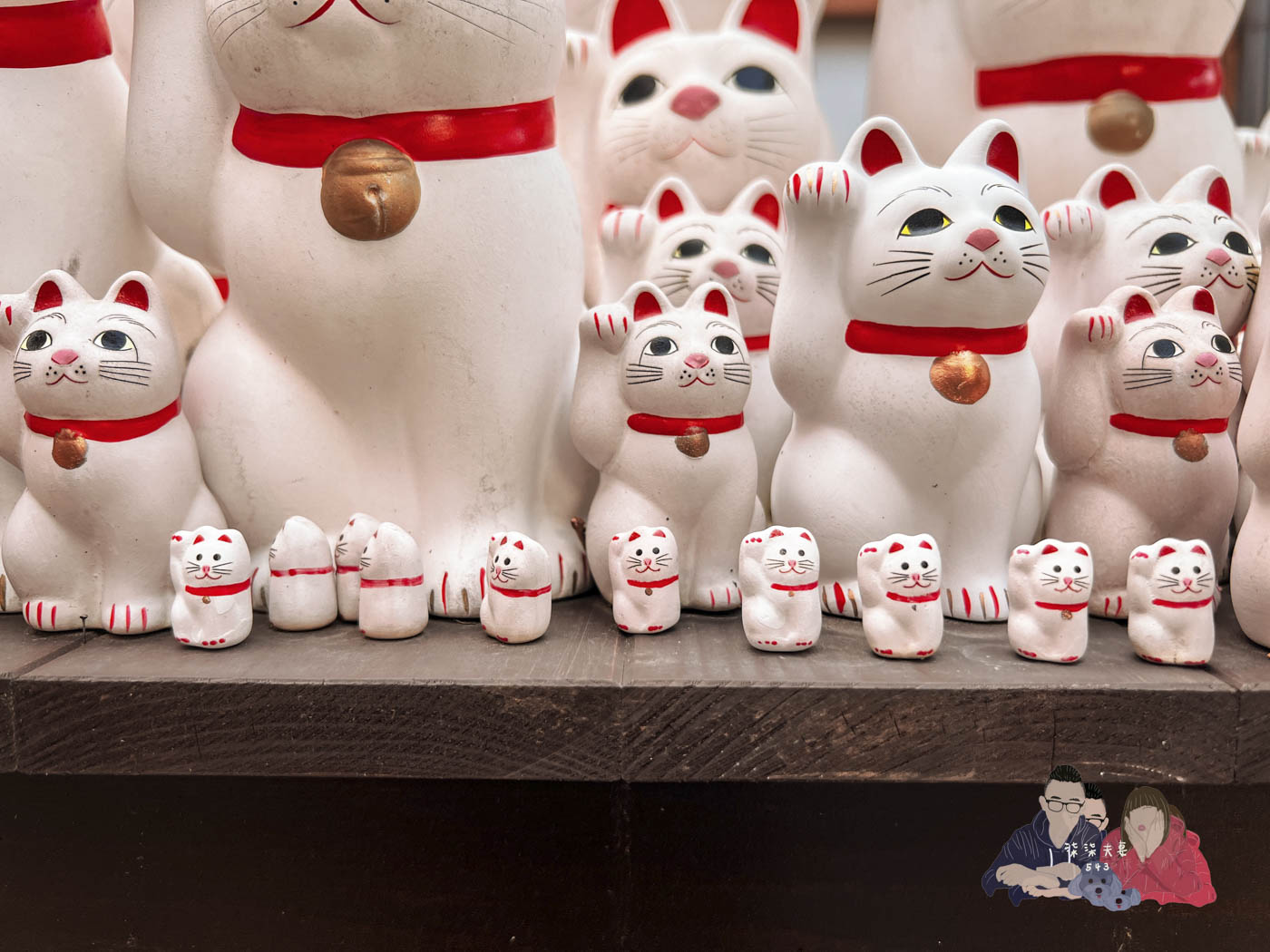 東京豪德寺 (75)