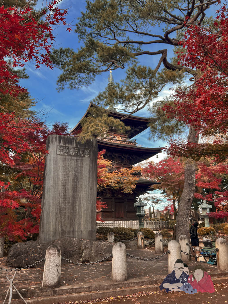 東京豪德寺 (89)
