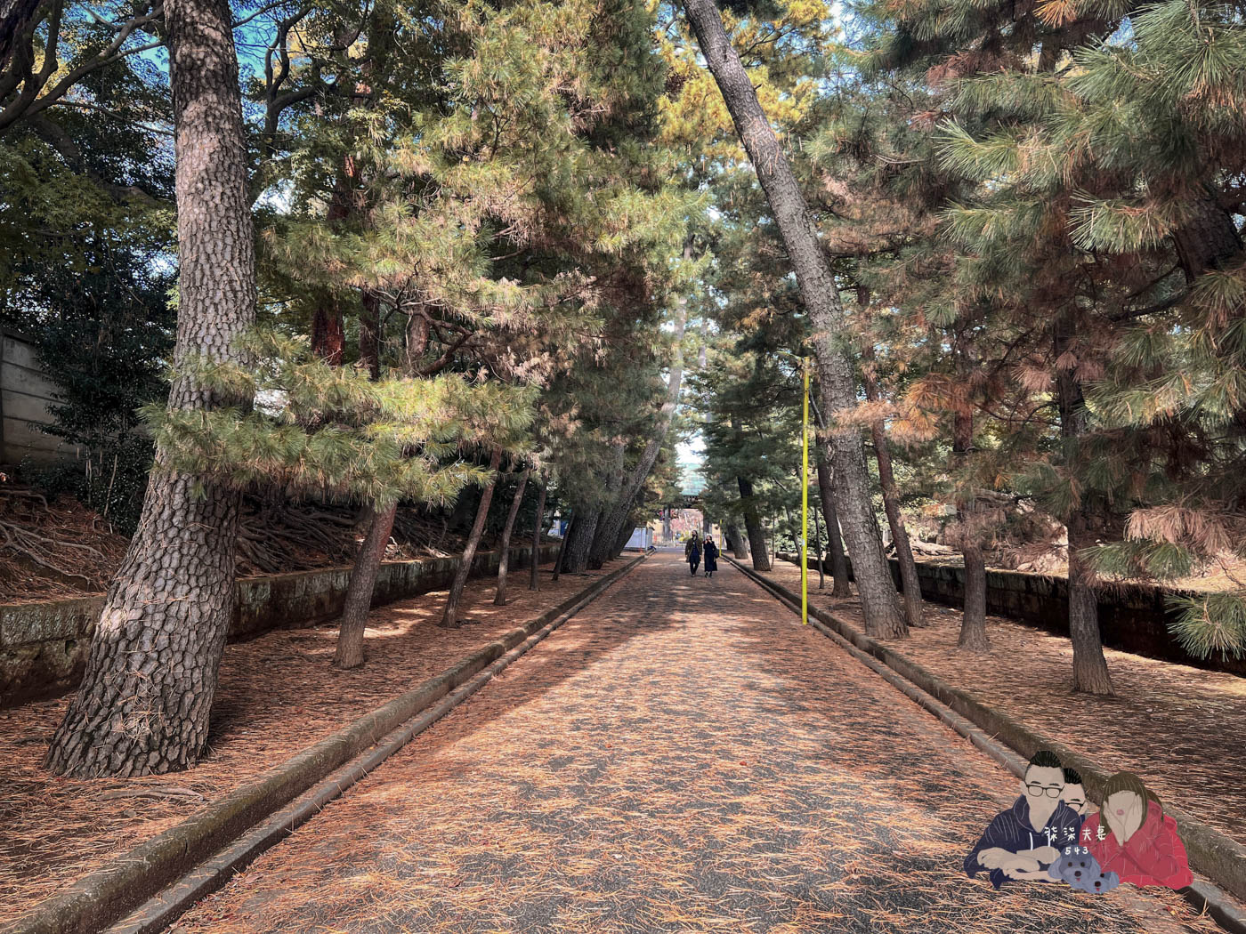 東京豪德寺 (96)