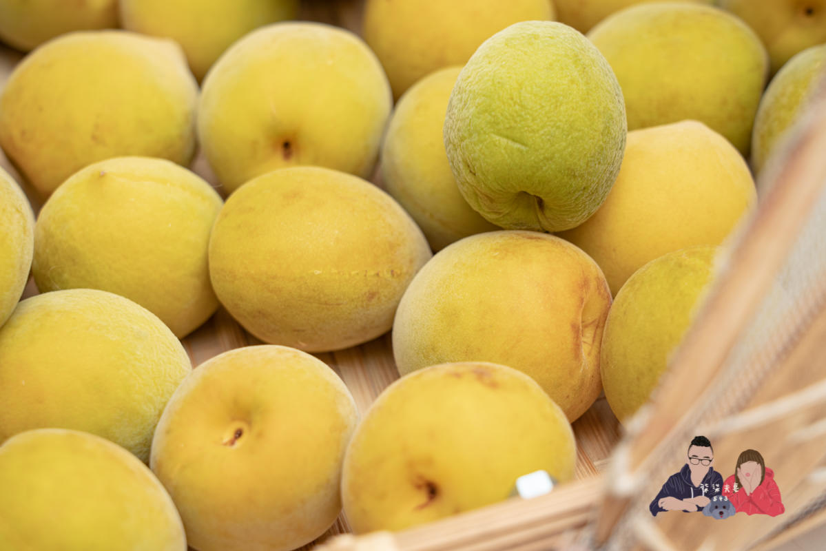 梅酒做法》釀梅酒的製作方法，梅糖酒比例怎麼抓？該釀多久？可能的失敗原因？