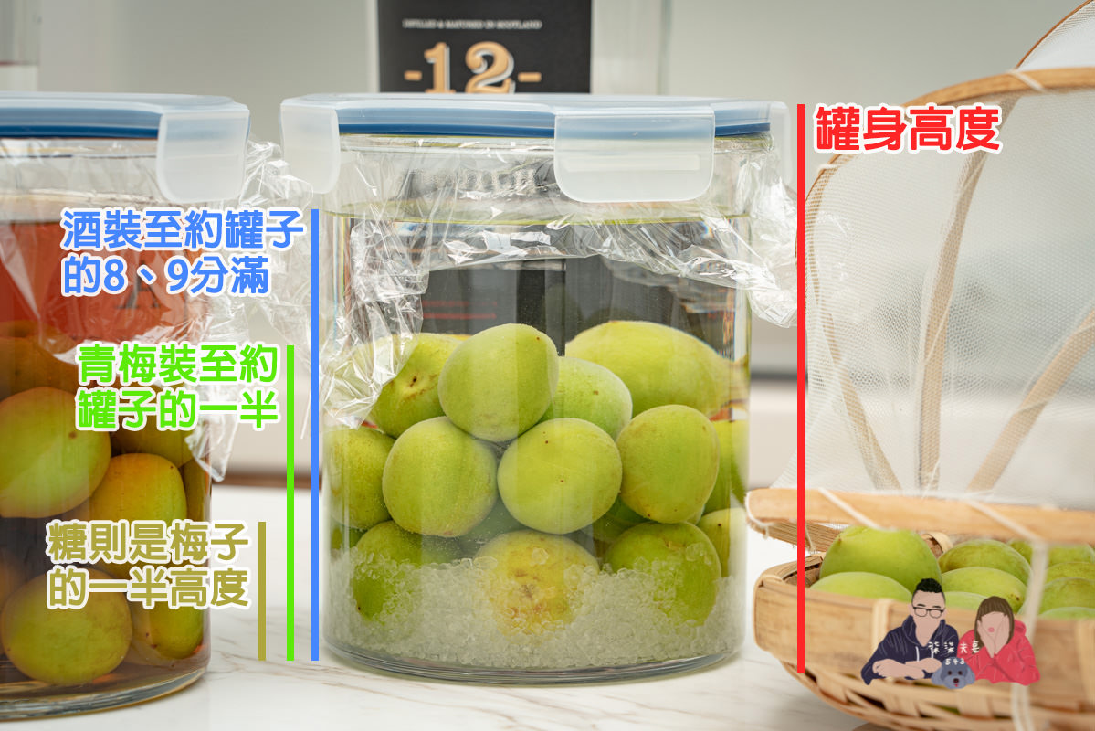 梅酒做法》釀梅酒的製作方法，梅糖酒比例怎麼抓？該釀多久？可能的失敗原因？