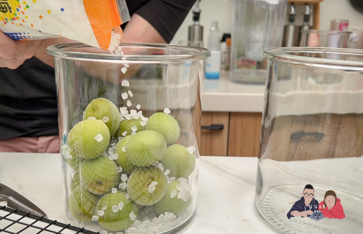 梅酒做法》釀梅酒的製作方法，梅糖酒比例怎麼抓？該釀多久？可能的失敗原因？