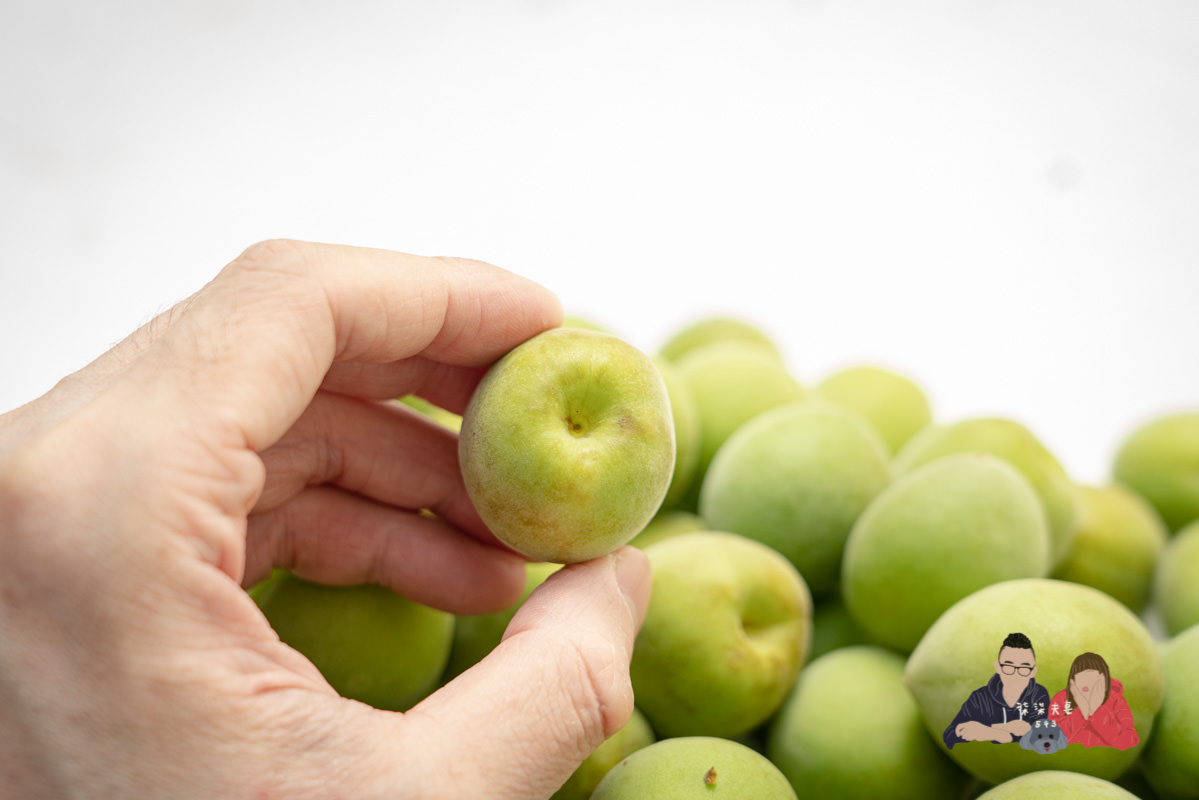 梅酒做法》釀梅酒的製作方法，梅糖酒比例怎麼抓？該釀多久？可能的失敗原因？