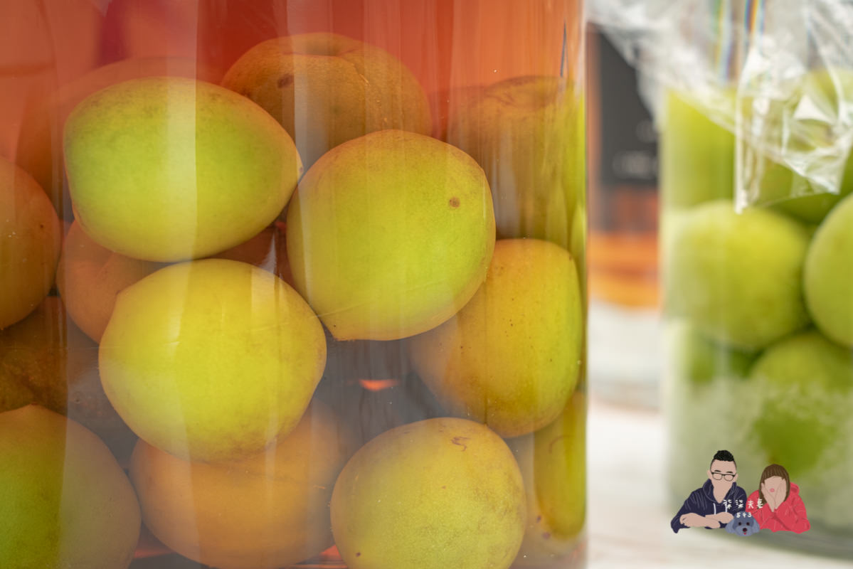 梅酒做法》釀梅酒的製作方法，梅糖酒比例怎麼抓？該釀多久？可能的失敗原因？