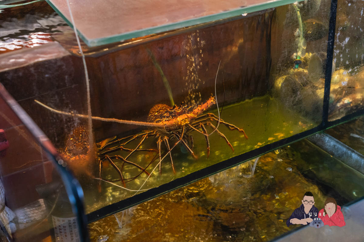 欣葉呷哺呷哺涮涮鍋》欣葉居然有火鍋店，而且還很好吃！？不愧是41年老店！