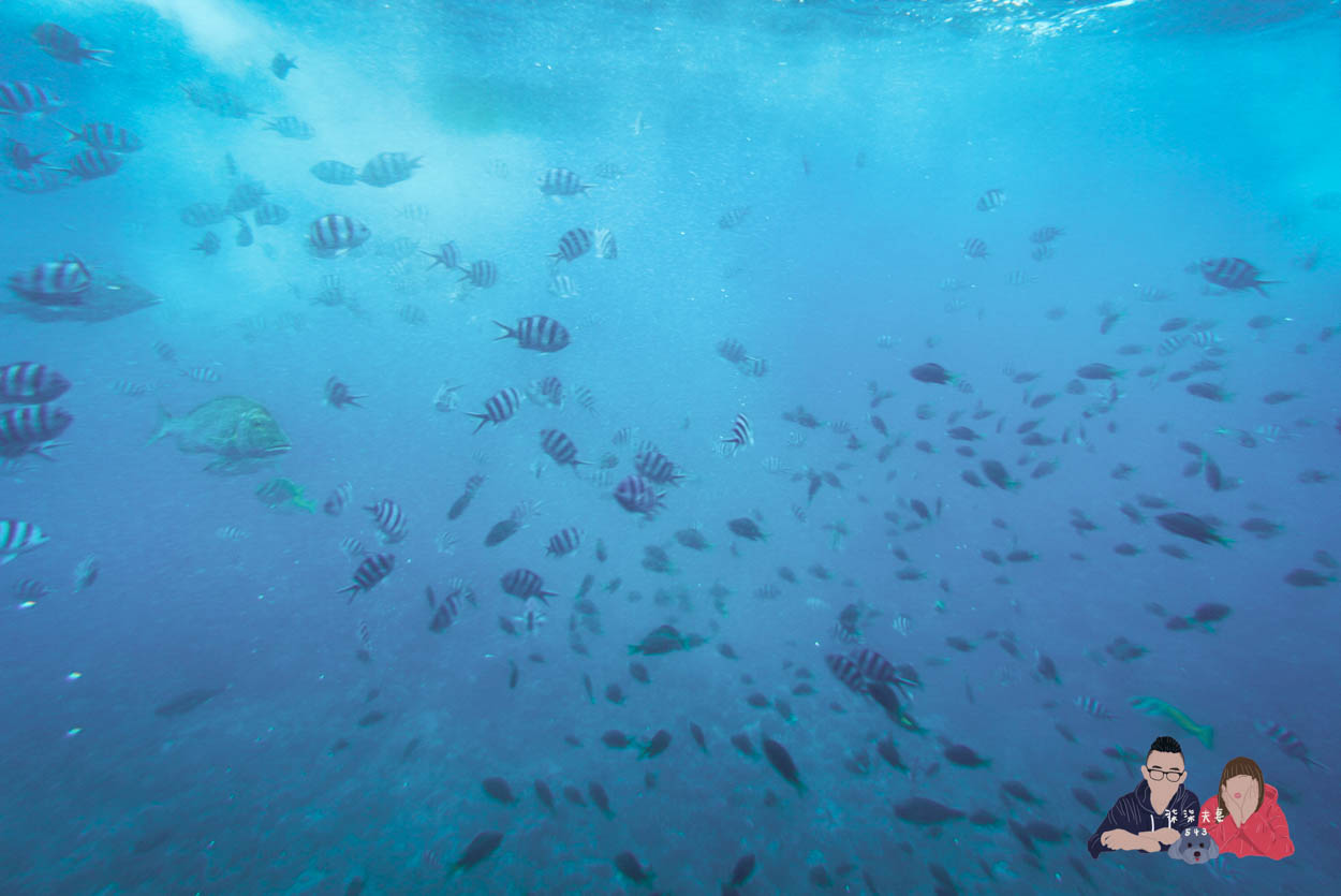 沖繩水底觀光船Orca (37)