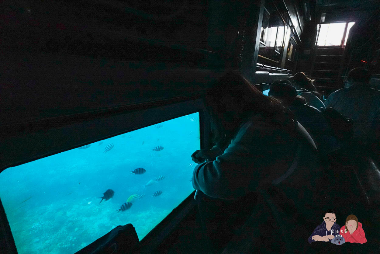 沖繩水底觀光船Orca (50)