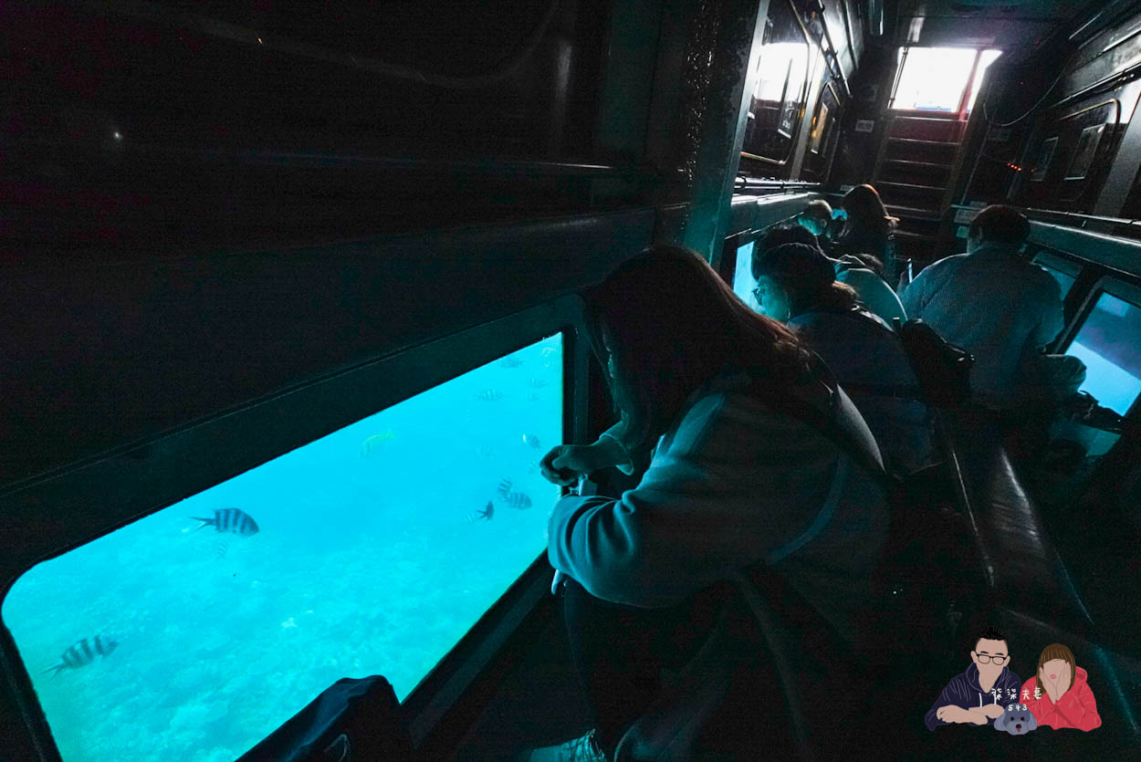沖繩水底觀光船Orca (51)
