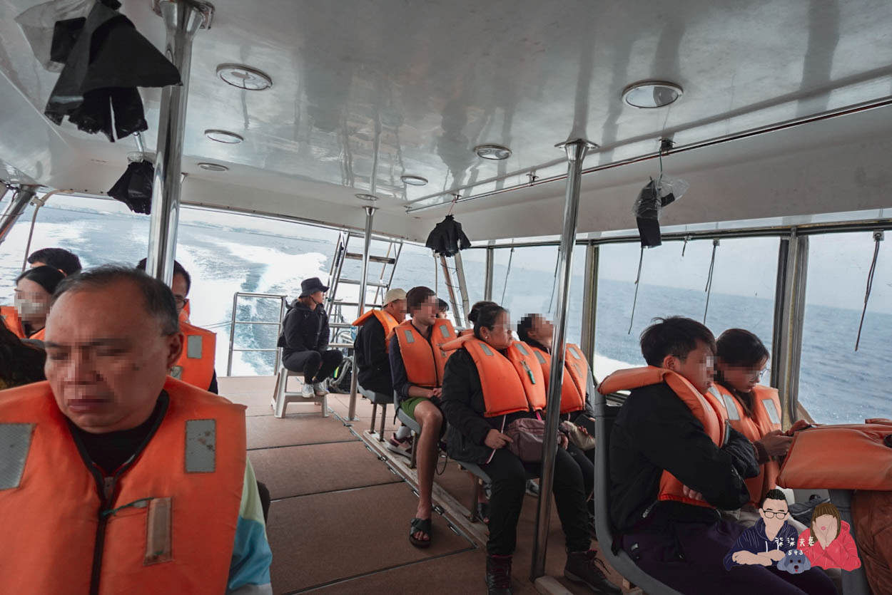沖繩賞鯨》冬季限定的賞鯨之旅,坐船出海觀賞座頭鯨~ - 第12張圖 沖繩賞鯨KKday-(16)