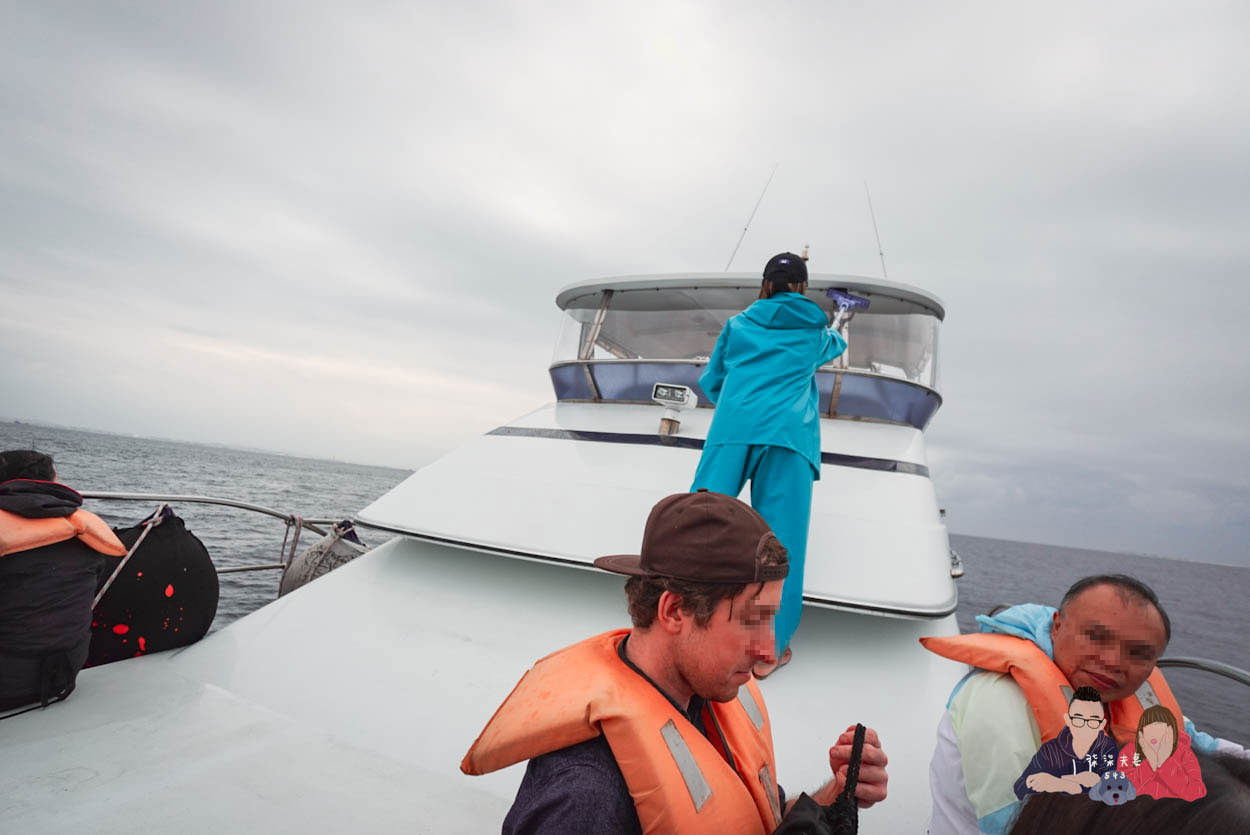 沖繩賞鯨》冬季限定的賞鯨之旅,坐船出海觀賞座頭鯨~ - 第15張圖 沖繩賞鯨KKday-(25)