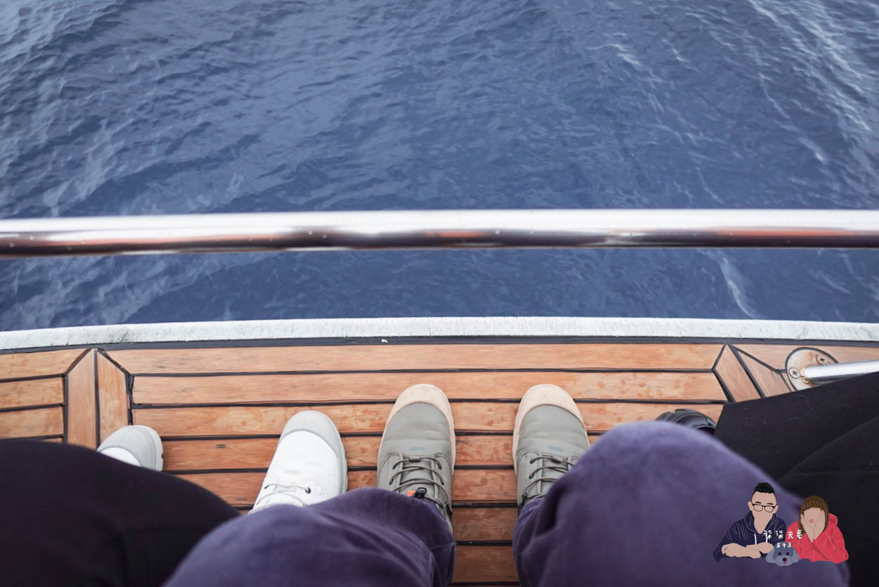 沖繩賞鯨》冬季限定的賞鯨之旅,坐船出海觀賞座頭鯨~ - 第17張圖 沖繩賞鯨KKday (26)