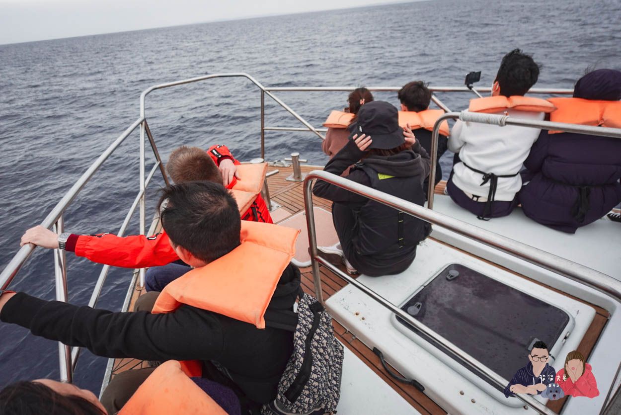 沖繩賞鯨》冬季限定的賞鯨之旅,坐船出海觀賞座頭鯨~ - 第14張圖 沖繩賞鯨KKday (31)