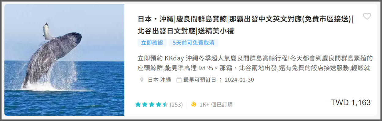 沖繩賞鯨》冬季限定的賞鯨之旅,坐船出海觀賞座頭鯨~ - 第4張圖 沖繩賞鯨KKday-(33)