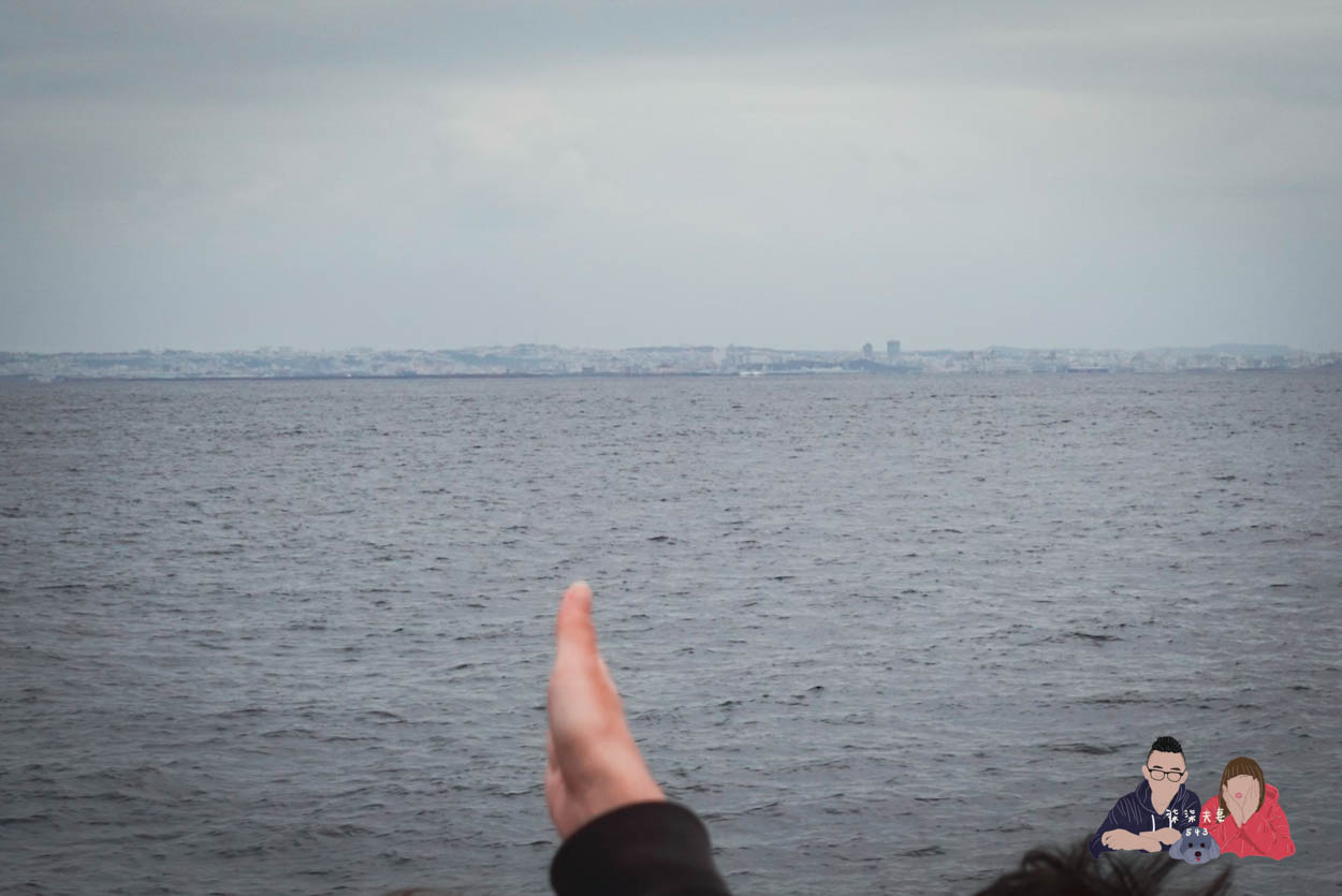 沖繩賞鯨》冬季限定的賞鯨之旅,坐船出海觀賞座頭鯨~ - 第19張圖 沖繩賞鯨KKday (35)