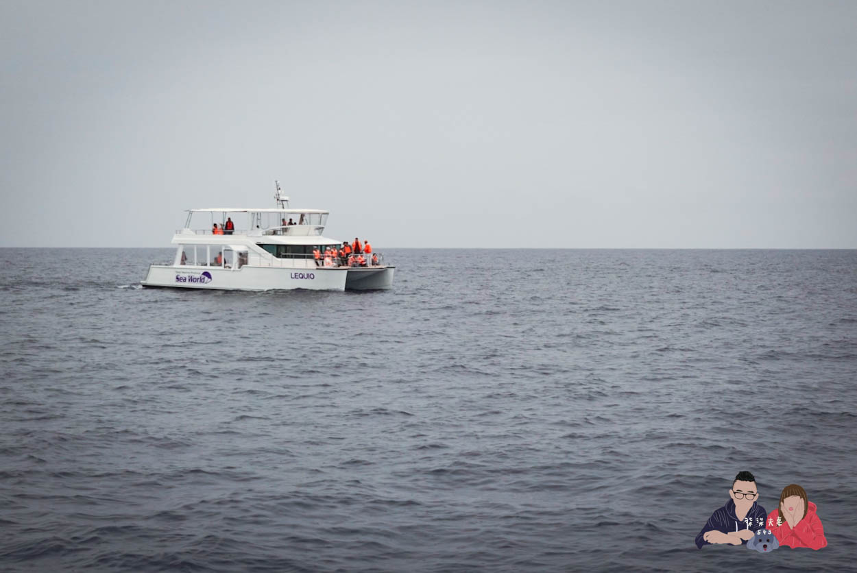 沖繩賞鯨》冬季限定的賞鯨之旅,坐船出海觀賞座頭鯨~ - 第18張圖 沖繩賞鯨KKday (37)
