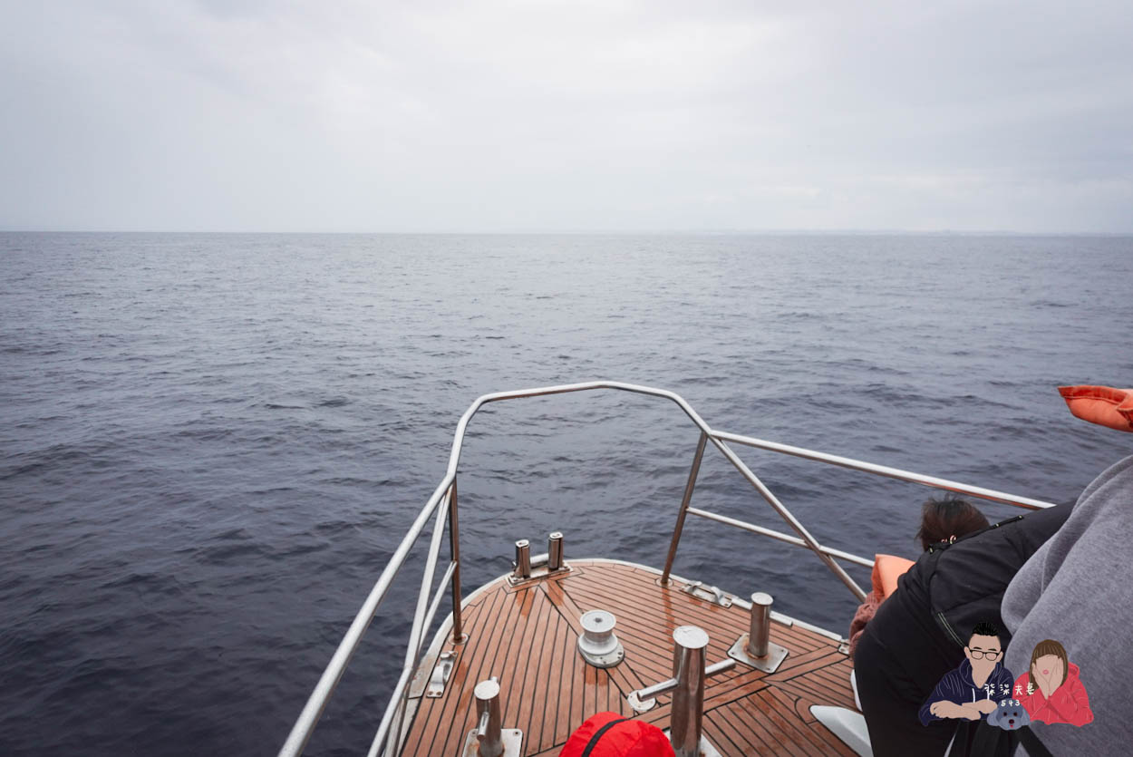 沖繩賞鯨》冬季限定的賞鯨之旅,坐船出海觀賞座頭鯨~ - 第1張圖 沖繩賞鯨KKday (39)