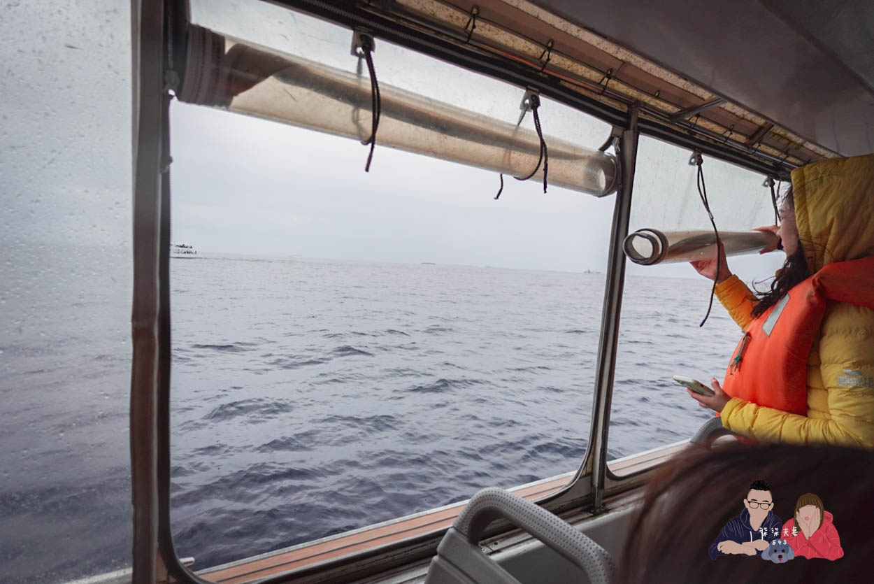 沖繩賞鯨KKday (42)