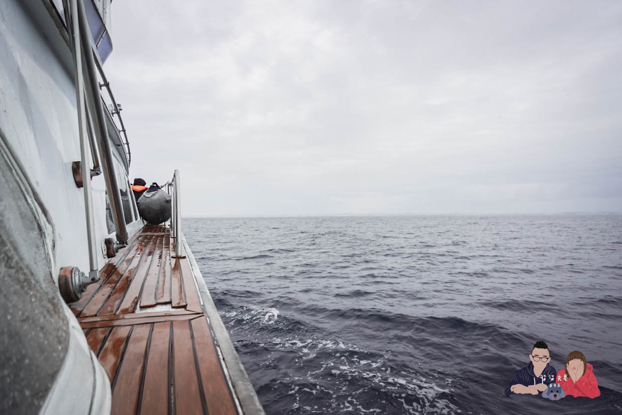沖繩賞鯨》冬季限定的賞鯨之旅,坐船出海觀賞座頭鯨~ - 第25張圖 沖繩賞鯨KKday (44)