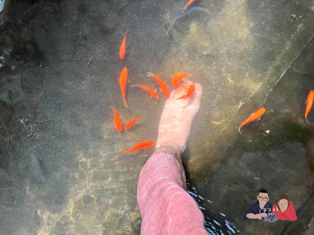 台中親子景點》海灣樂世界啵比星球｜二訪！小孩玩到起肖，親子毛孩都能一起同樂！