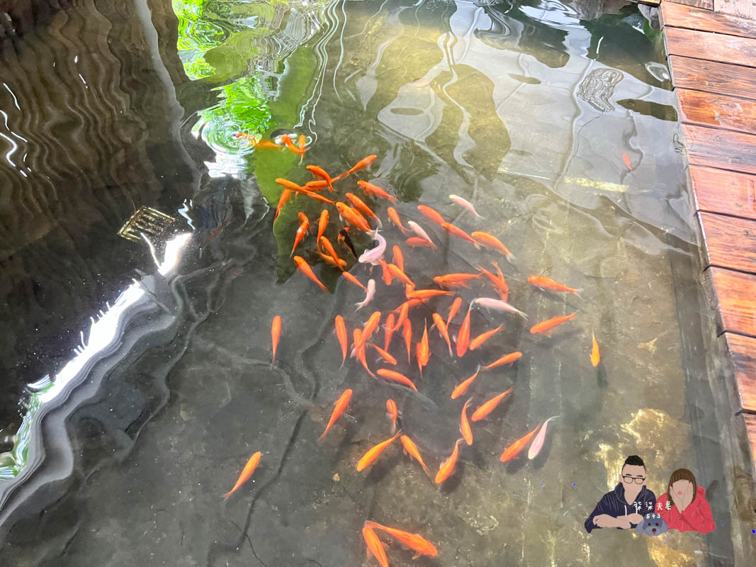 台中親子景點》海灣樂世界啵比星球｜二訪！小孩玩到起肖，親子毛孩都能一起同樂！