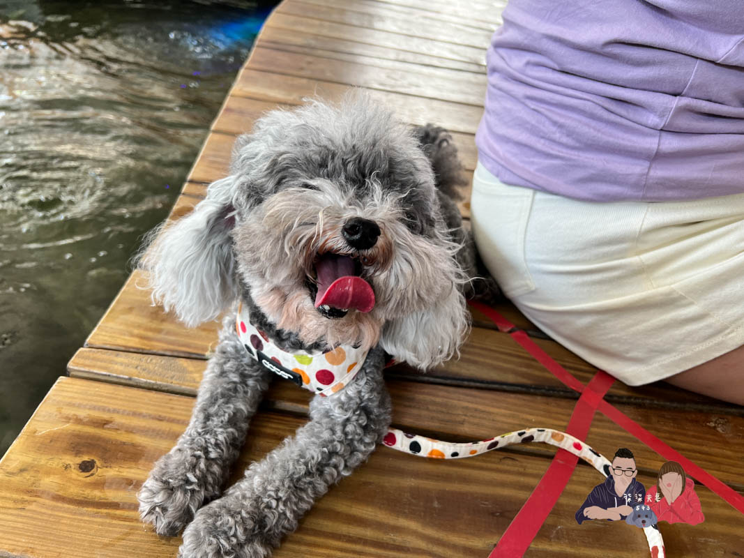 台中親子景點》海灣樂世界啵比星球｜二訪！小孩玩到起肖，親子毛孩都能一起同樂！