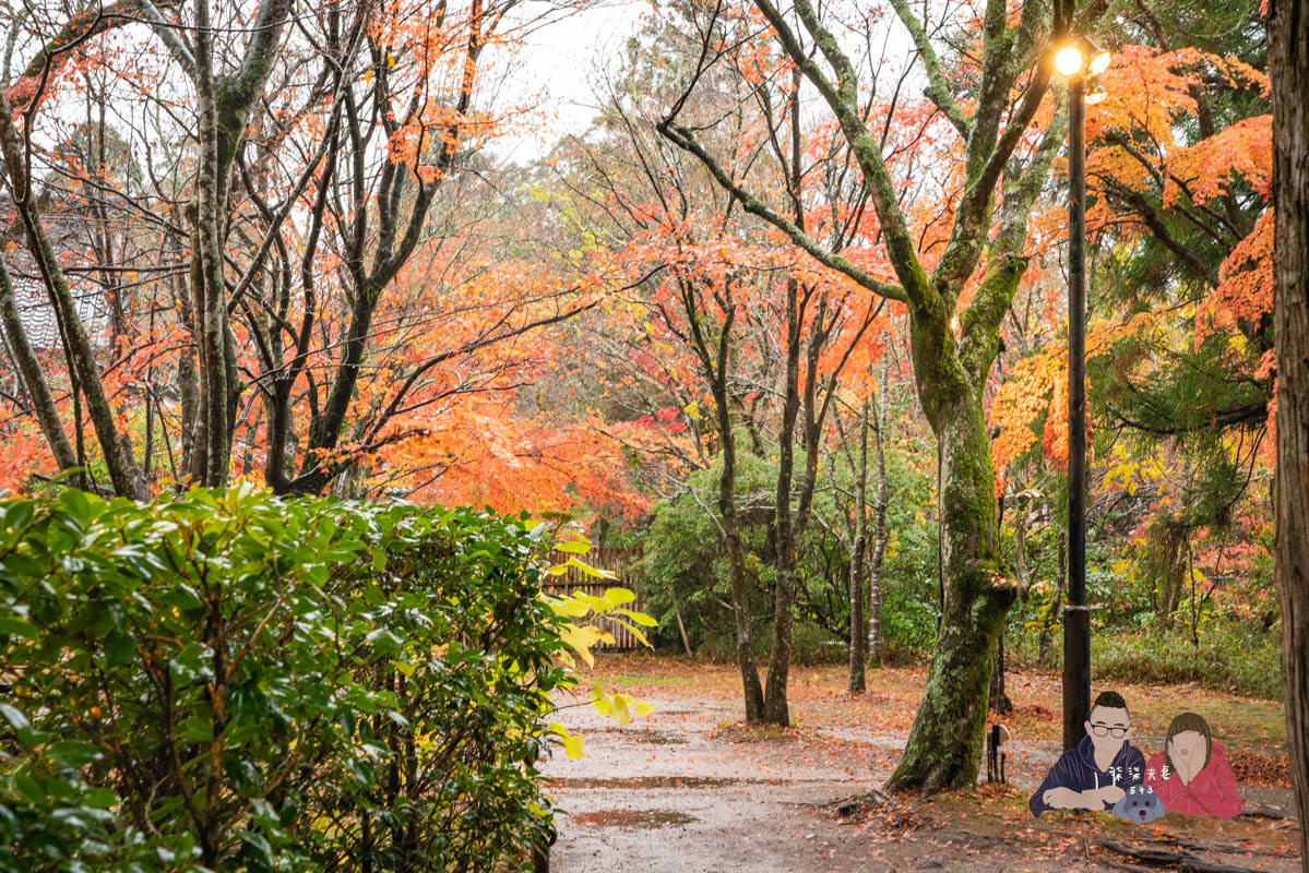 由布院UBL飯店》大推薦的由布院金鱗湖平價溫泉旅館,一泊二食超享受,還有私人湯屋! - 第64張圖 由布院UBL-68