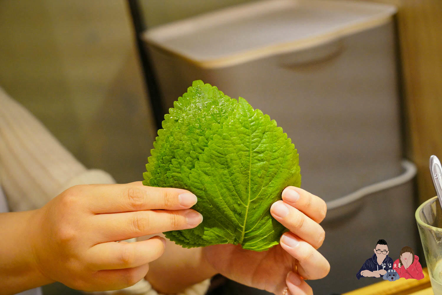 菜豚屋林森店 (35)