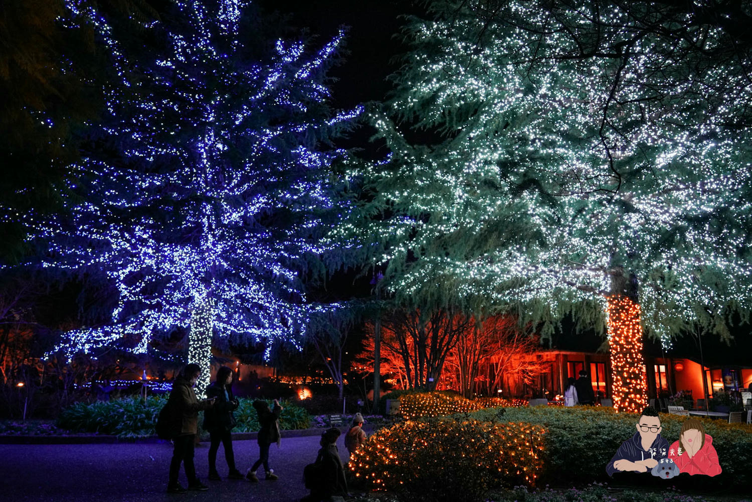 近鐵周遊券1/2/5/5Plus》無限往返大阪京都奈良三重名古屋,最詳細的使用教學! - 第20張圖 近鐵周遊券KINTETSU RAIL PASS (3)