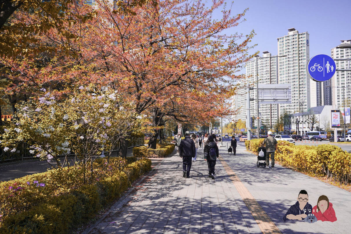 韓國梨花校服樂天世界 (5)